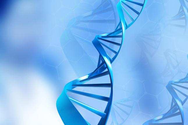 德州DNA亲子鉴定的作用有哪些？DNA亲子鉴定的用途是什么 
